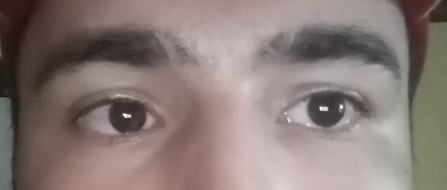 IMG 20251104 195732