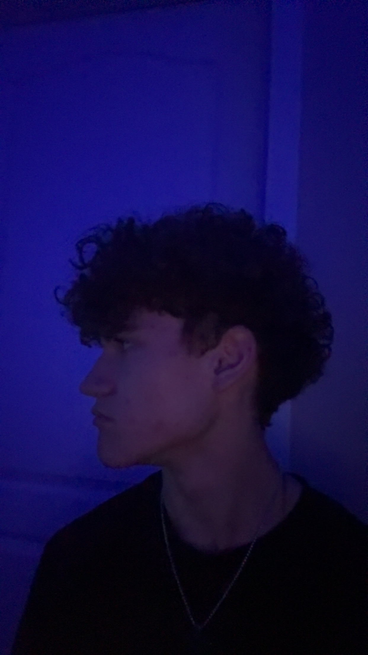IMG 1620