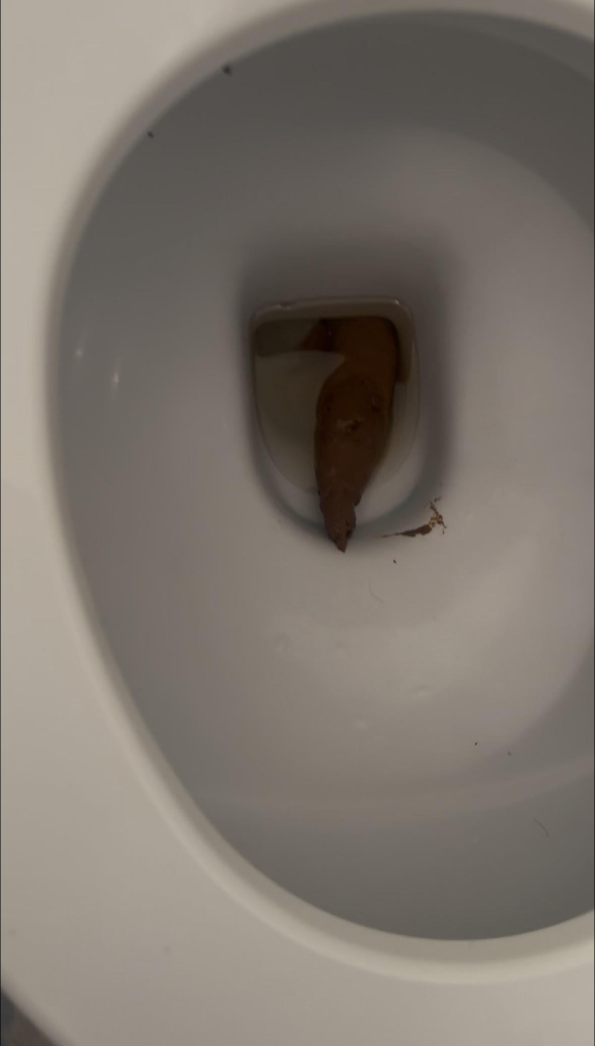 IMG 0352