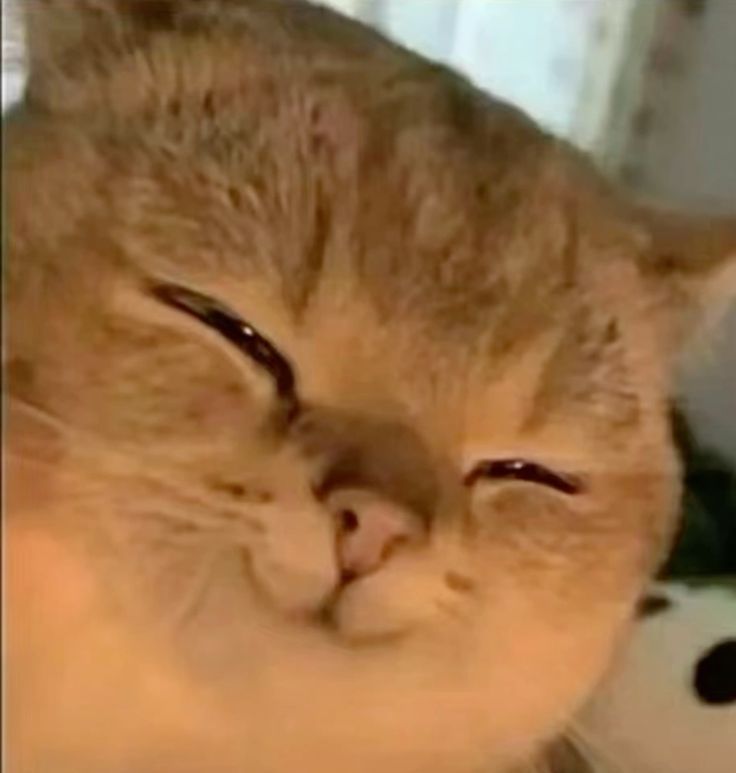 1000006301
