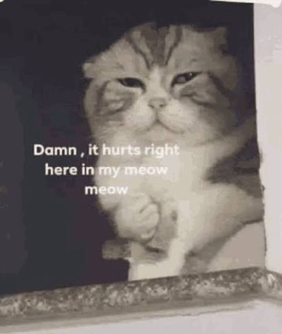 1000006297