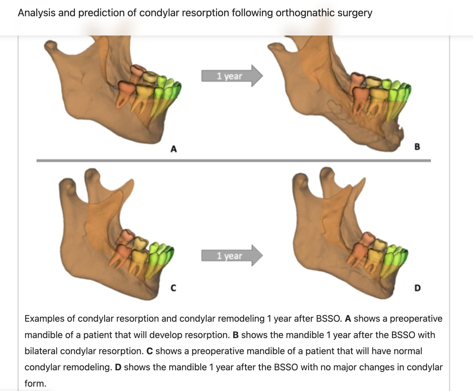 Screenshot 2025 11 05 at 91013PM