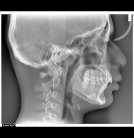 32fed2b8 1f00 4743 86d9 f890a0478d0d