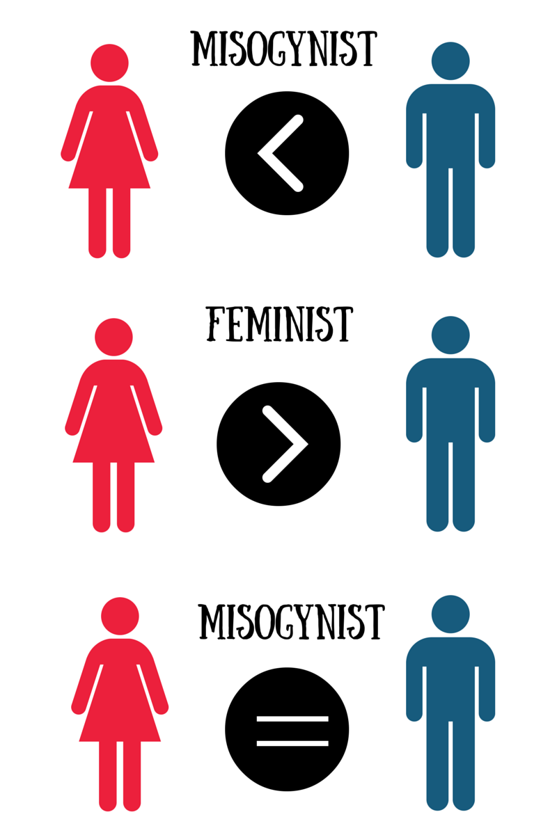 Misogynist feminist 2