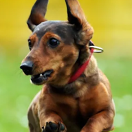 1F66A5B0 4DAA 426A 8184 12E1C4FDC75D