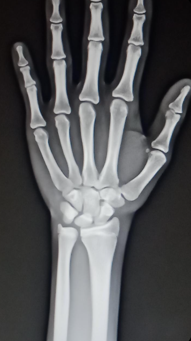 Screenshot 2025 11 07 134201