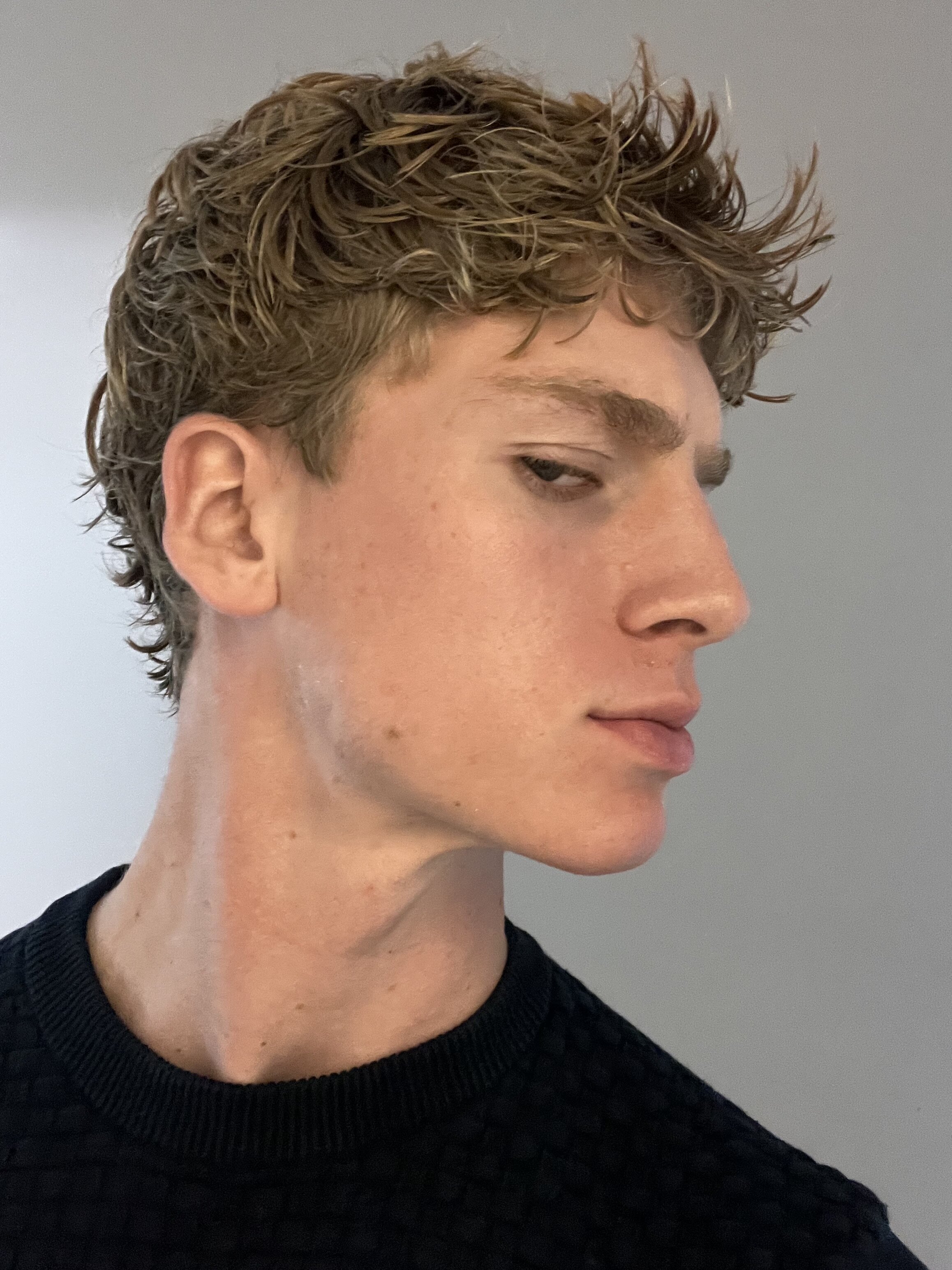 IMG 4639