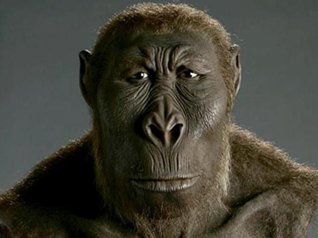 F9f09c320ac71b1f75bcef7eae0b812f