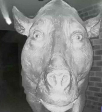 Screenshot 2025 11 06 180026