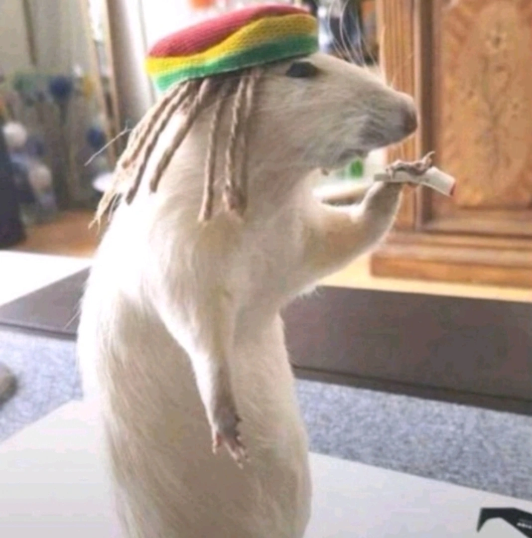 IMG 20250905 033207 086