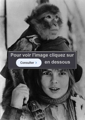 Fabrice josso photo 53552 42947