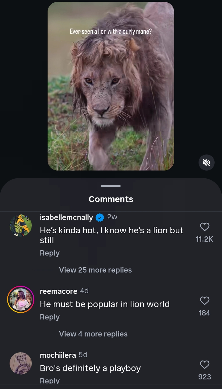 Screenshot 2025 11 08 22 48 31 18 1c337646f29875672b5a61192b9010f9