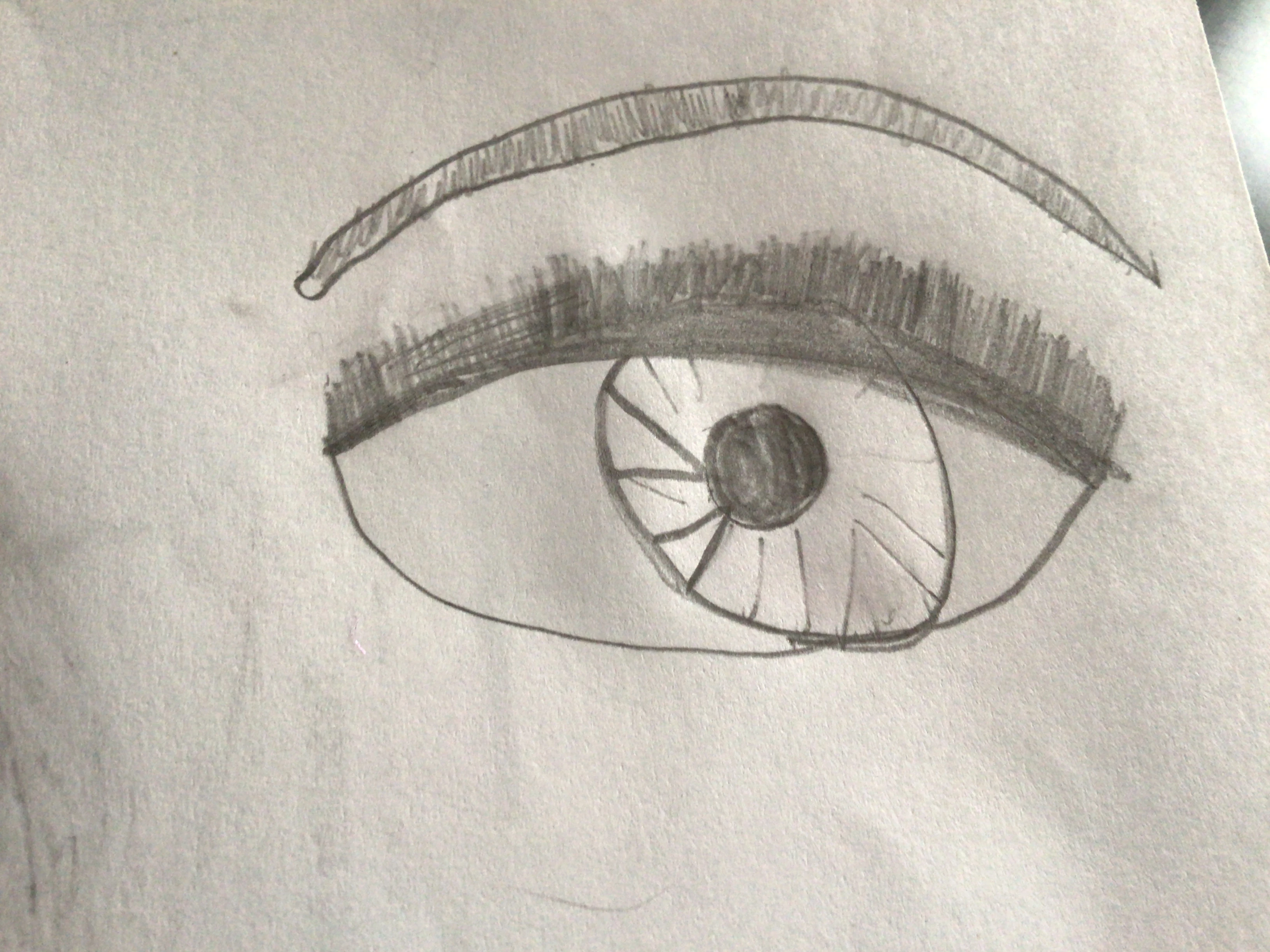 Eye