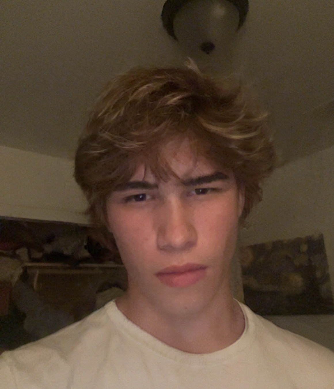 IMG 1739