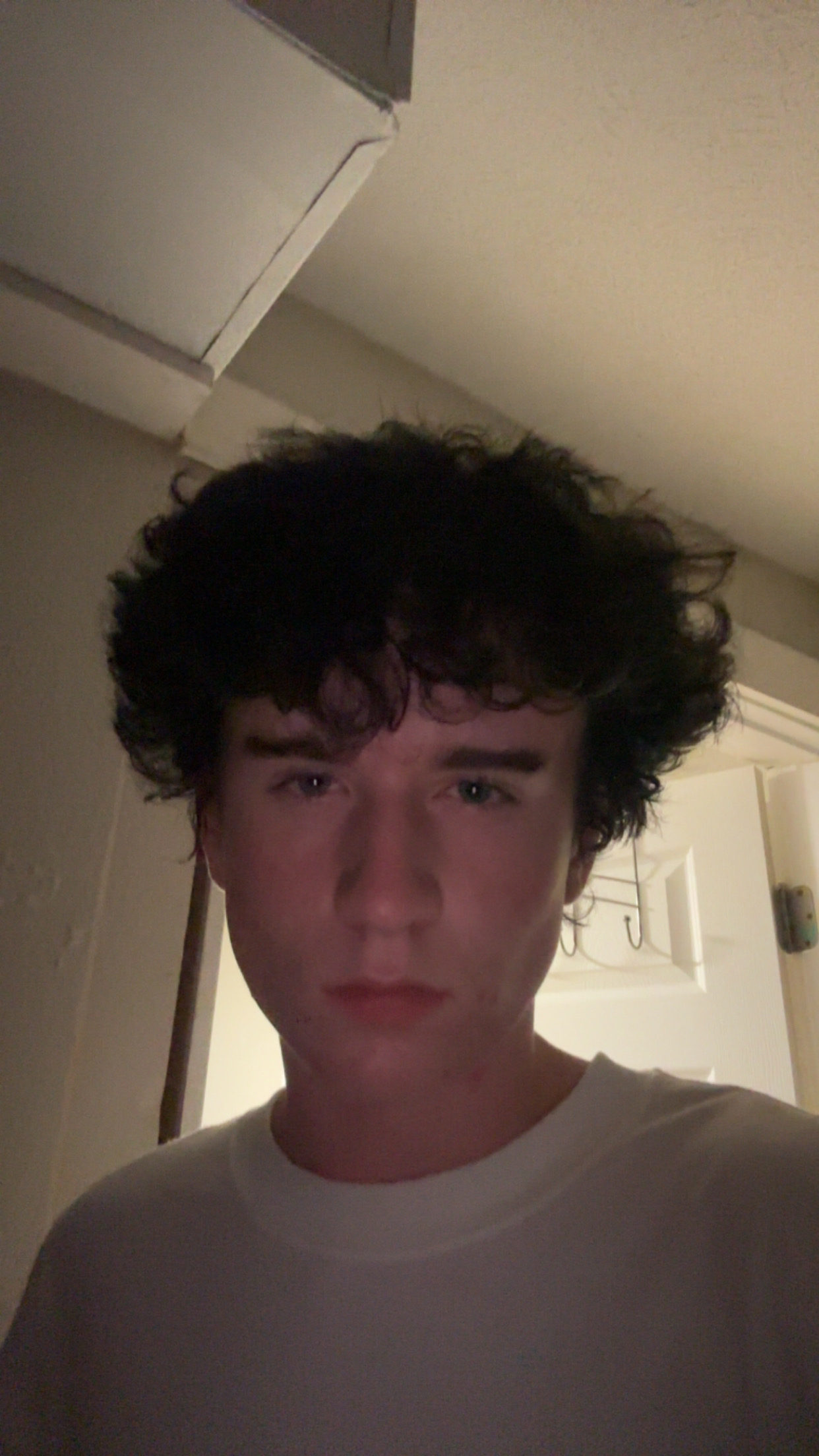 IMG 1466
