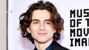 Who Is Timothee Chalamet? 5 Things to ...
