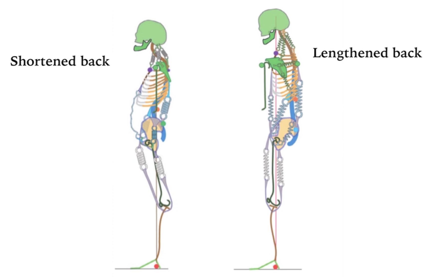 Screenshot 2025 11 09 at 180555