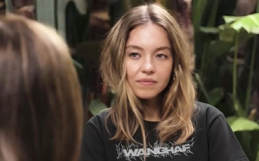 Skrmbild 2025 11 09 172220