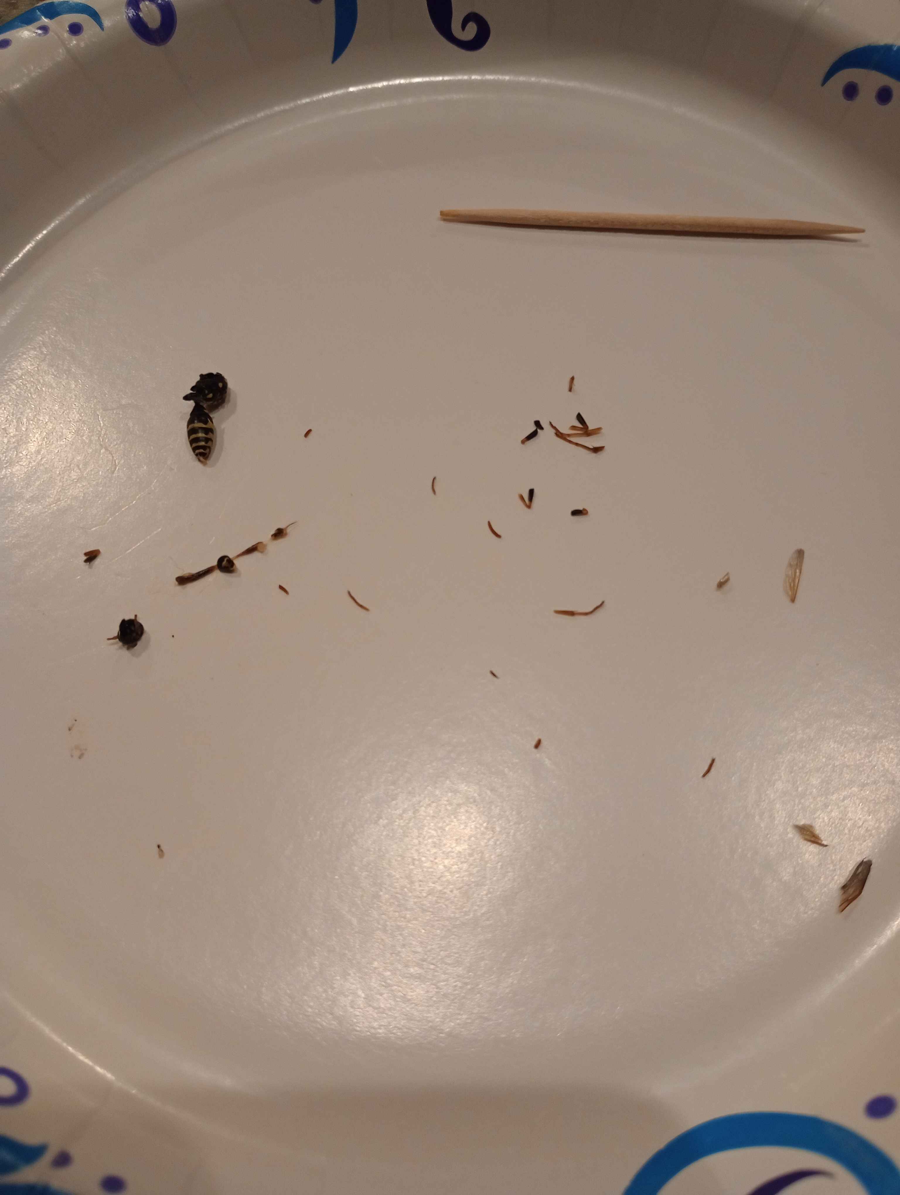 IMG 20240907 233045152