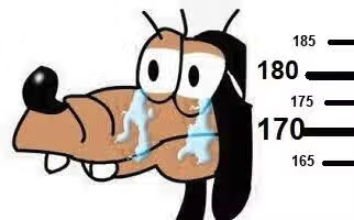 1762740046412