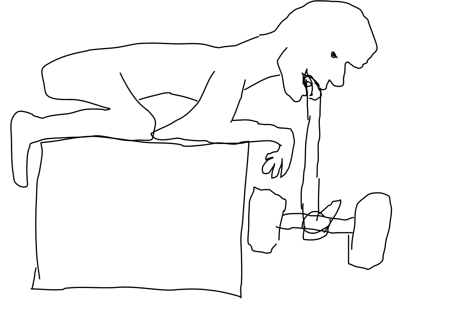 E82FFFE8 CFE4 4188 B055 C2CBCF9066EE