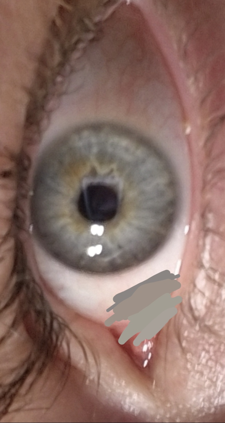 Screenshot 20251111 025205 Samsung Internet