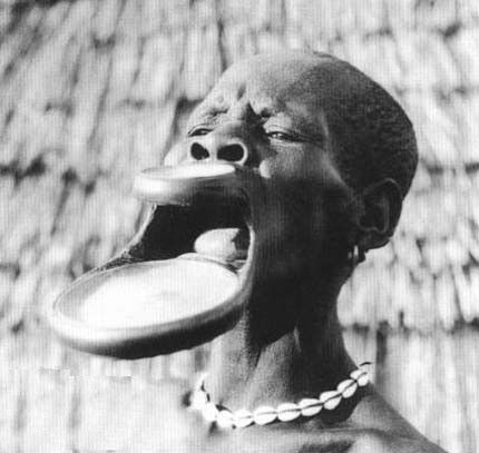 F67ac2b4c8caa7db318cc64913d93213 1