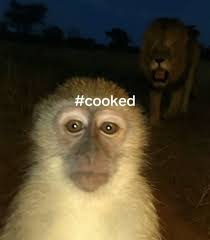 5523656 1762571656446