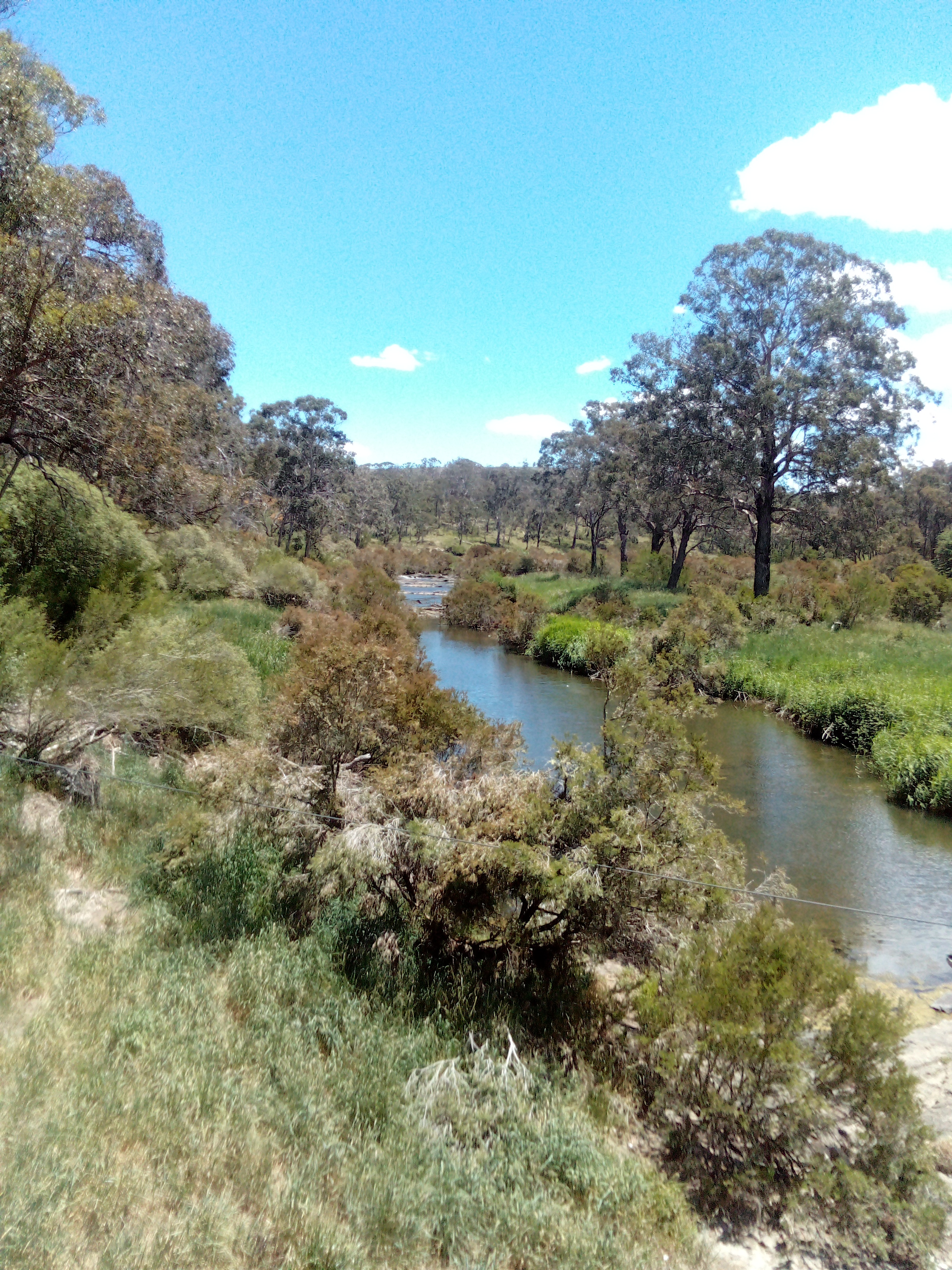 IMG 20251111 125640 893