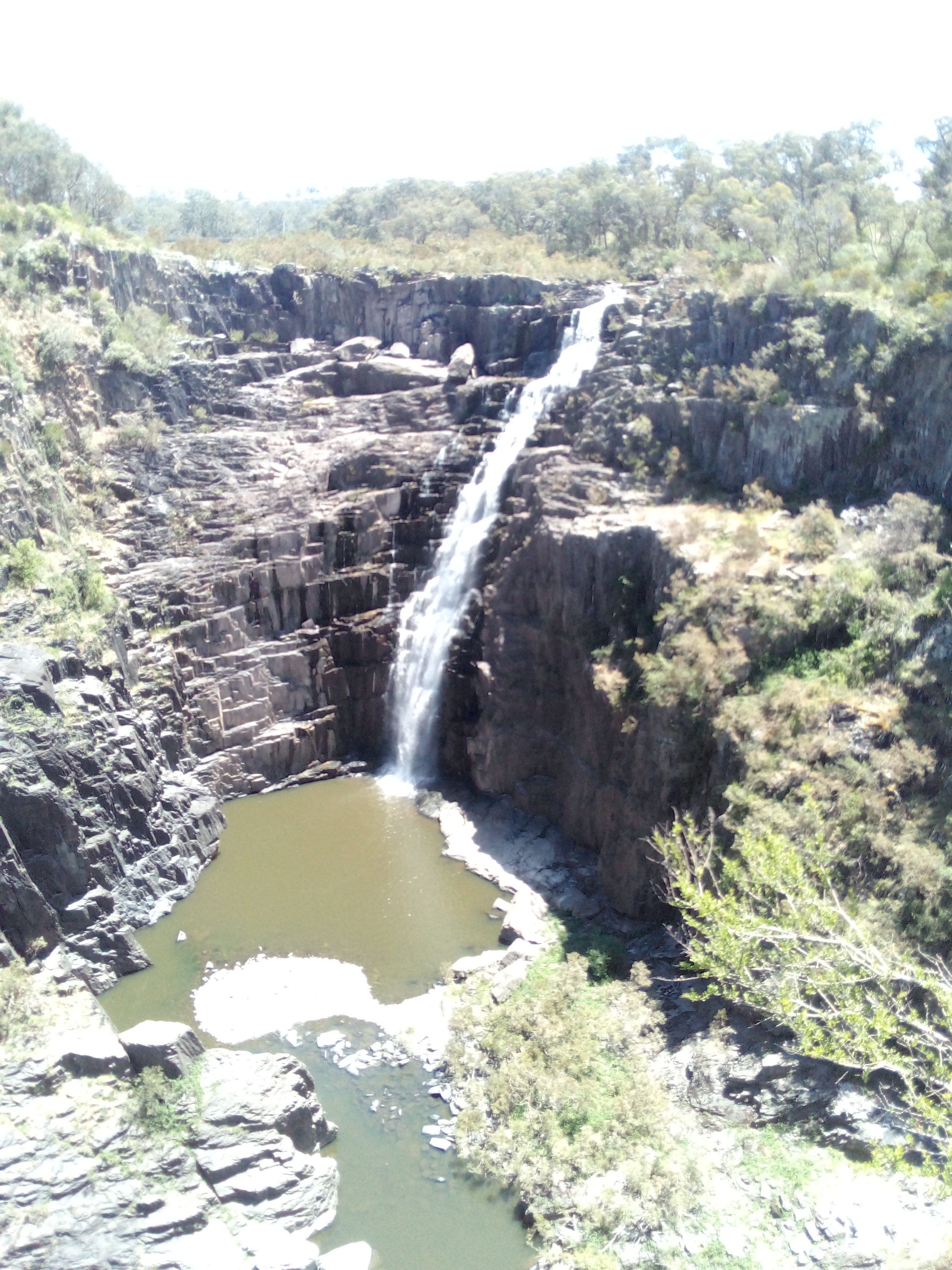 IMG 20251111 124915 332