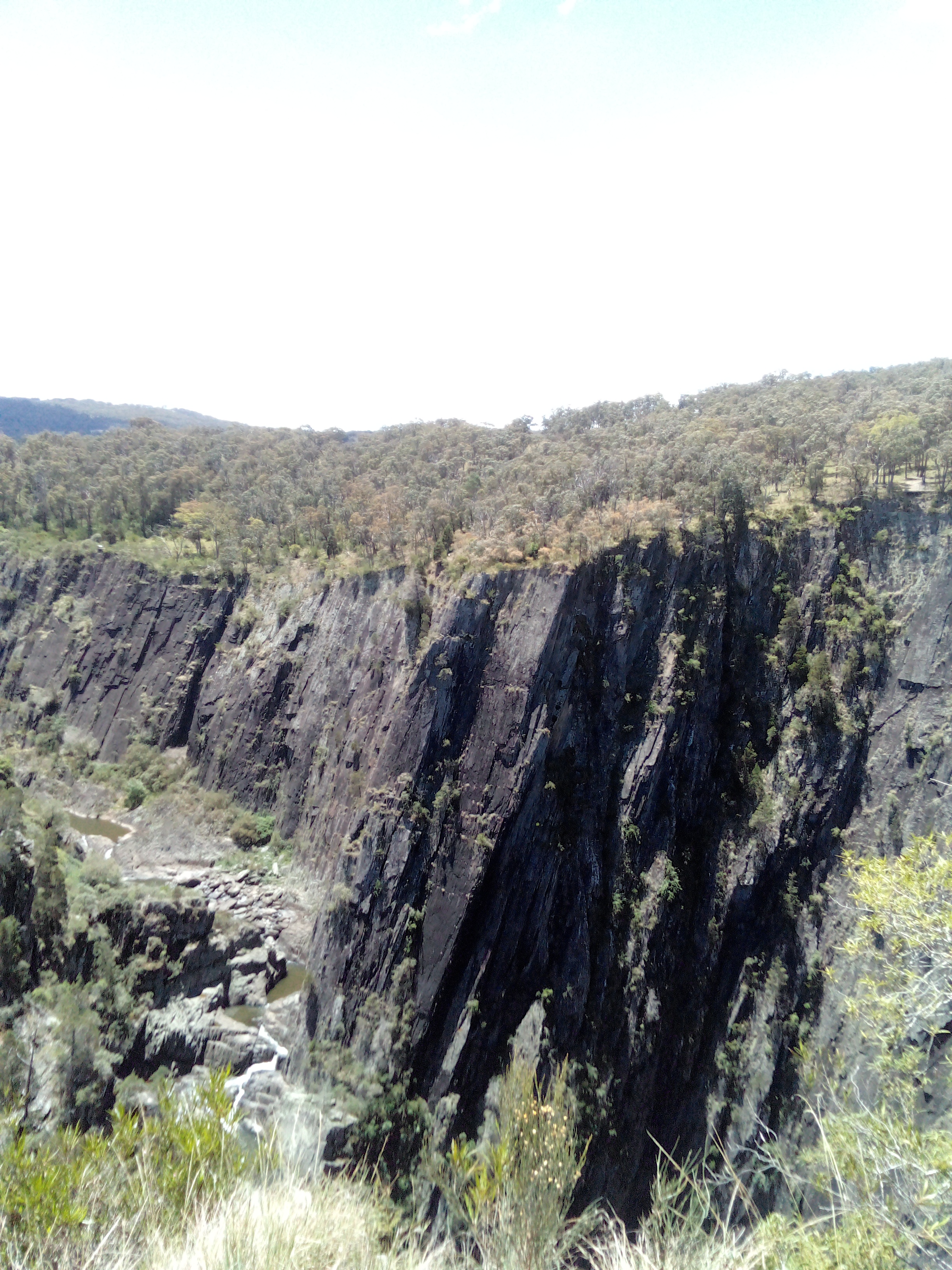 IMG 20251111 123516 026