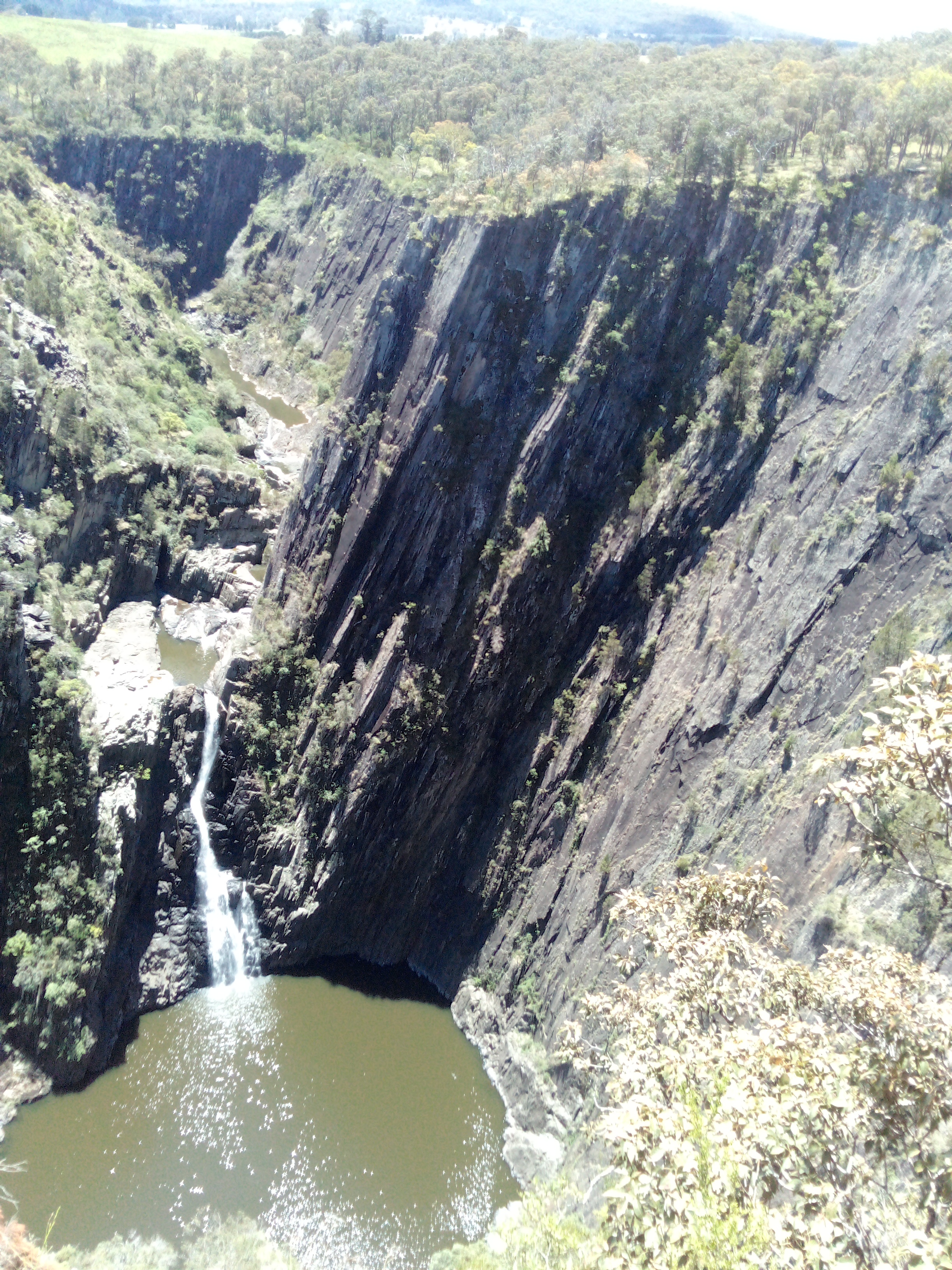 IMG 20251111 123229 950