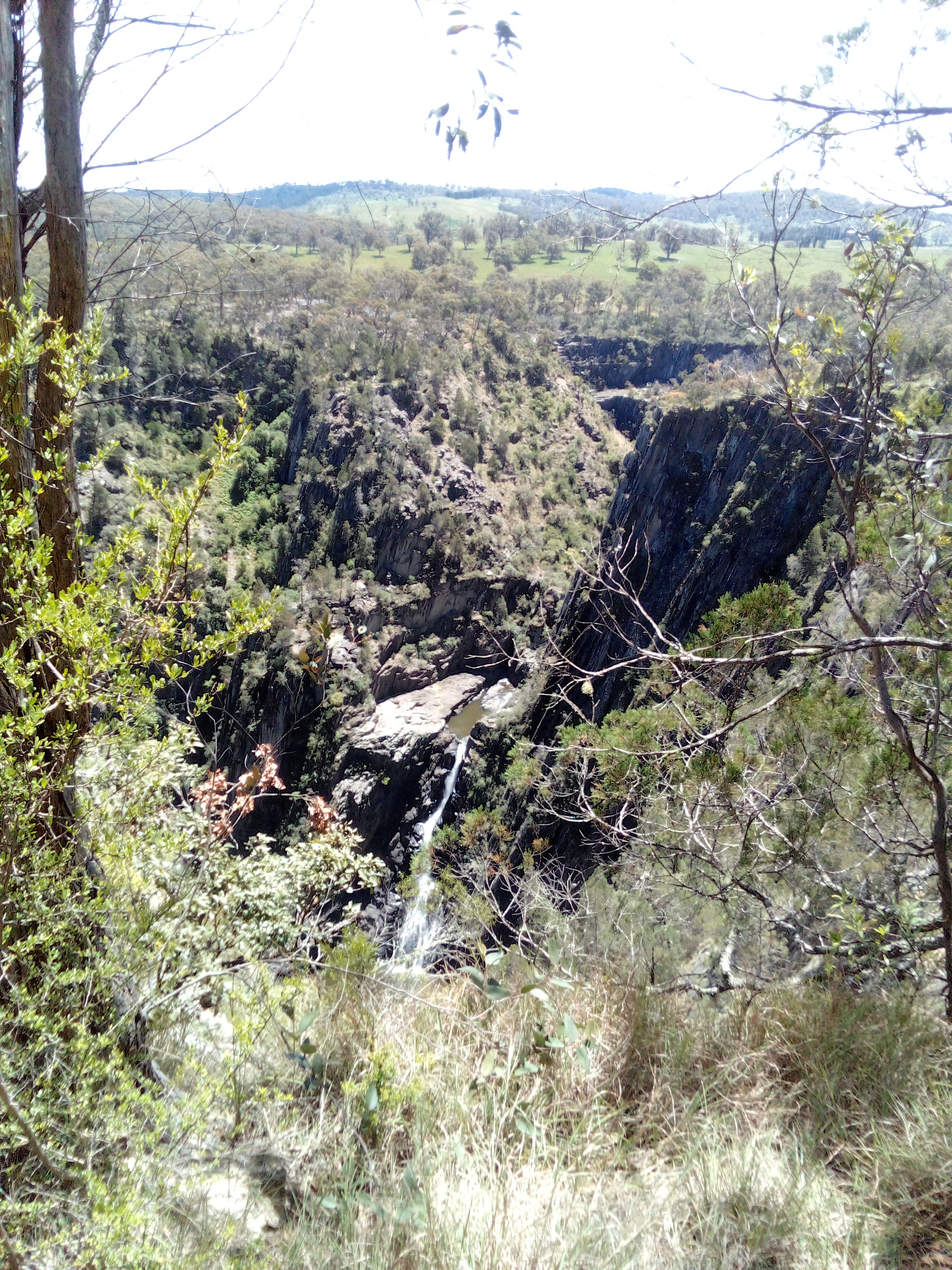 IMG 20251111 123003 437