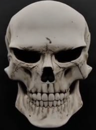 Screenshot 20251111 140229 Samsung Internet