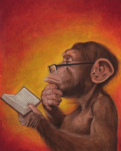 210A5785 42AF 4541 BF78 9348F9EFB5CD