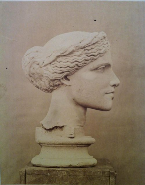 Bust of mog