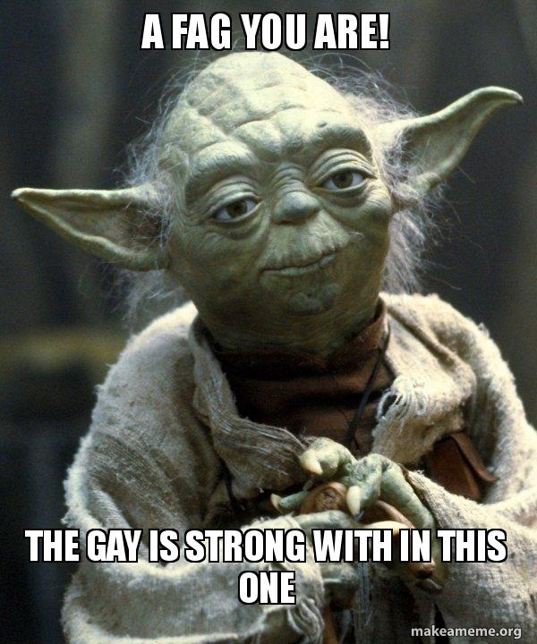 A fag you gay