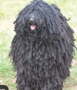 Screenshot 2025 11 12 152830