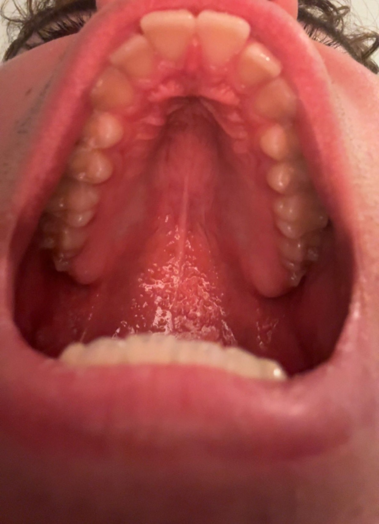 WhatsApp Image 2025 11 13 at 014436 dc7d1b12