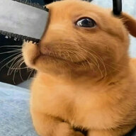 2A6F4A6E 9394 494F A26C 74A5392F7360