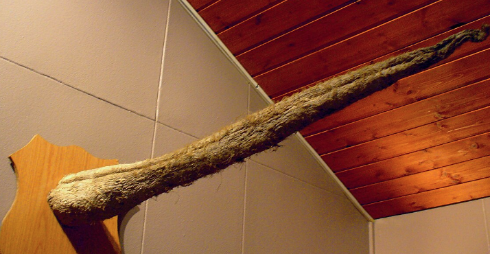 Screen Shot 2025 11 13 at 125354 AM