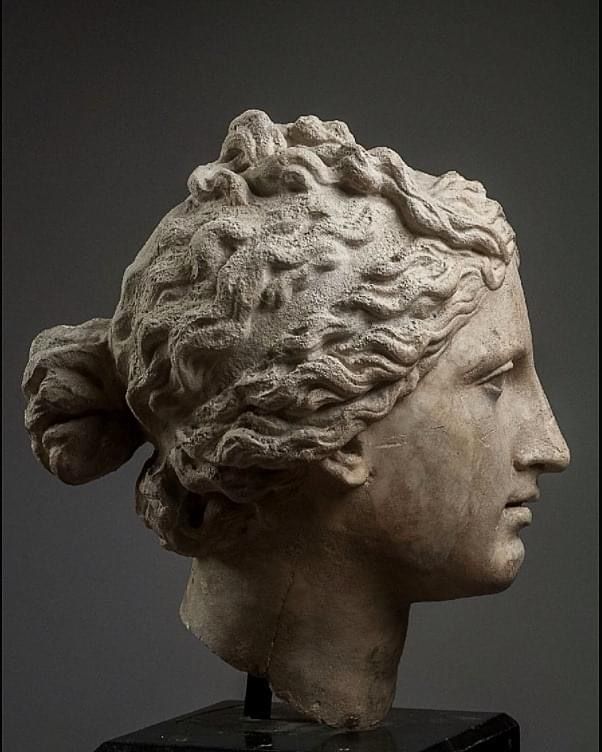 97d66c4006e603a5c3853a28fb4de038