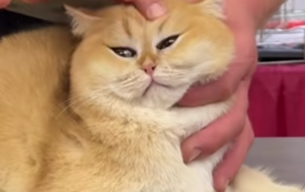 Screenshot 20251108 173339