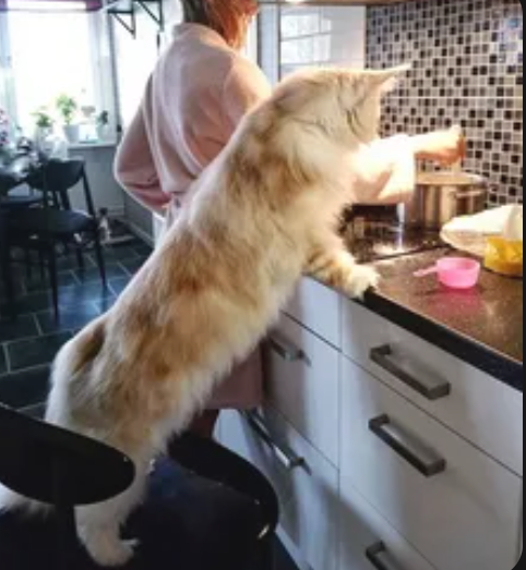 Screenshot 20251103 104934