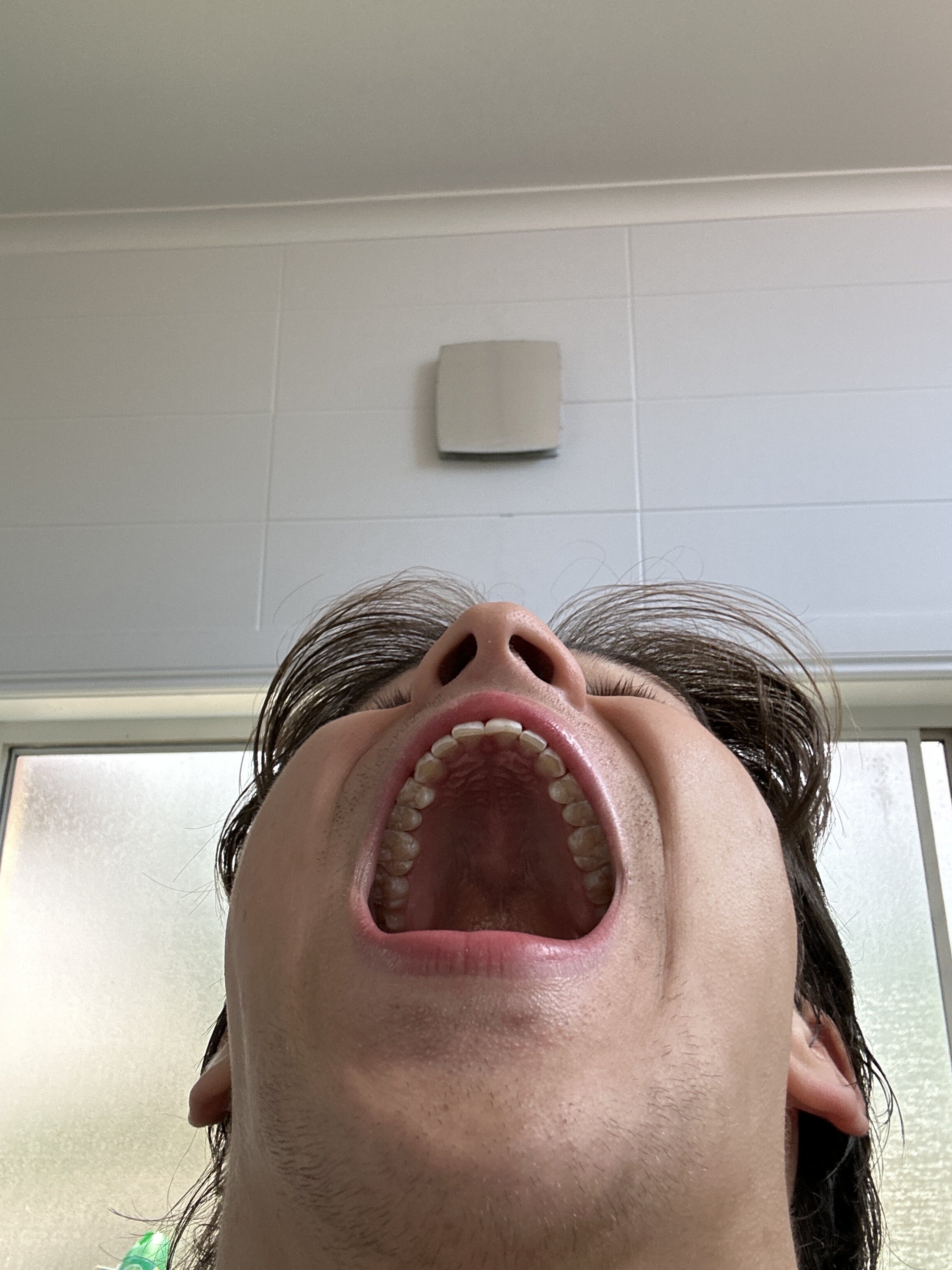 IMG 0D36E38D 4E1A 439C 8223 090FB4D95467