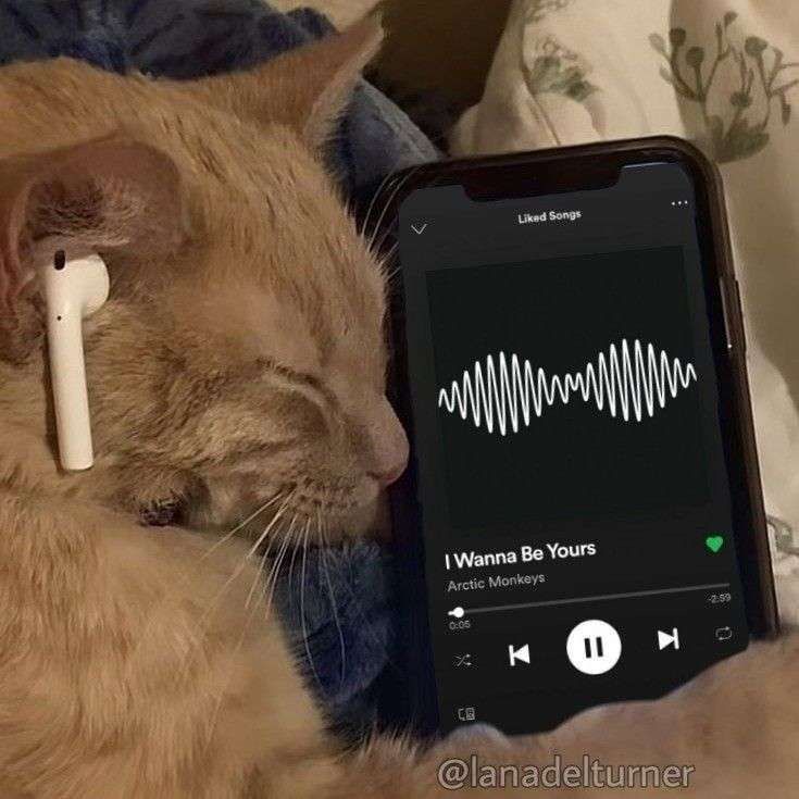 1000006457