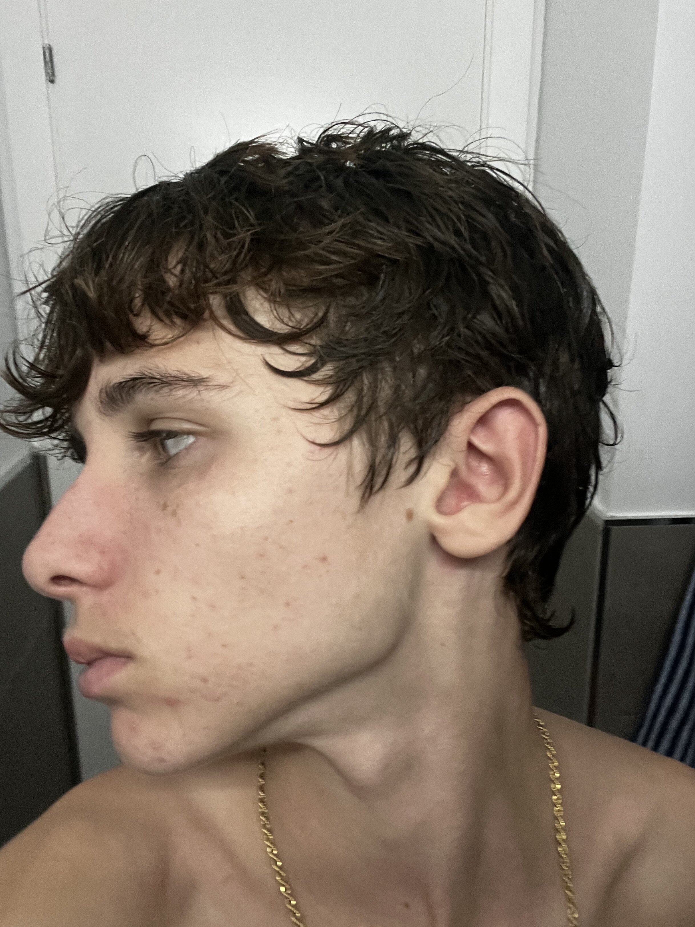 IMG 1220