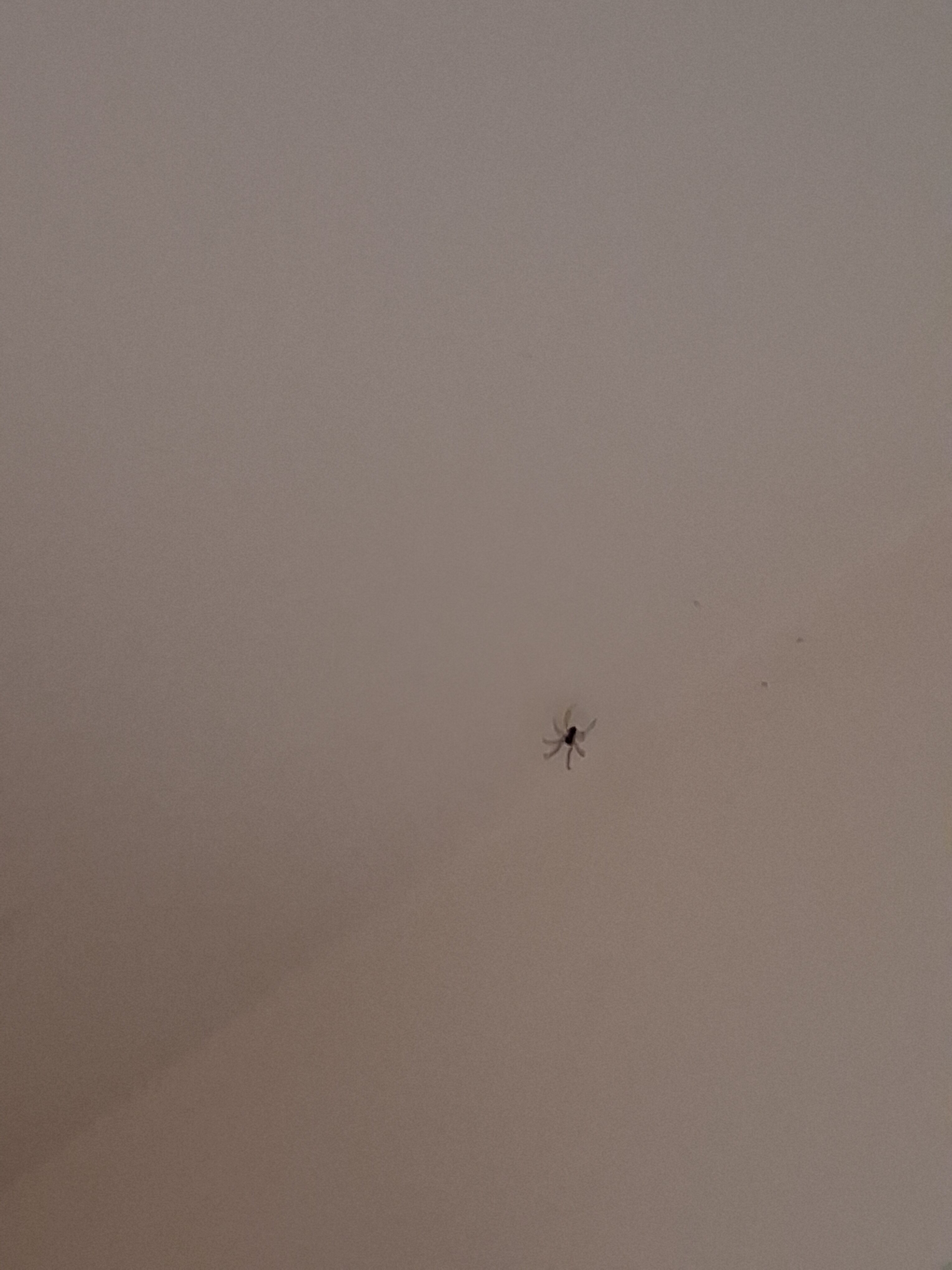 17630743261444459859388513144949