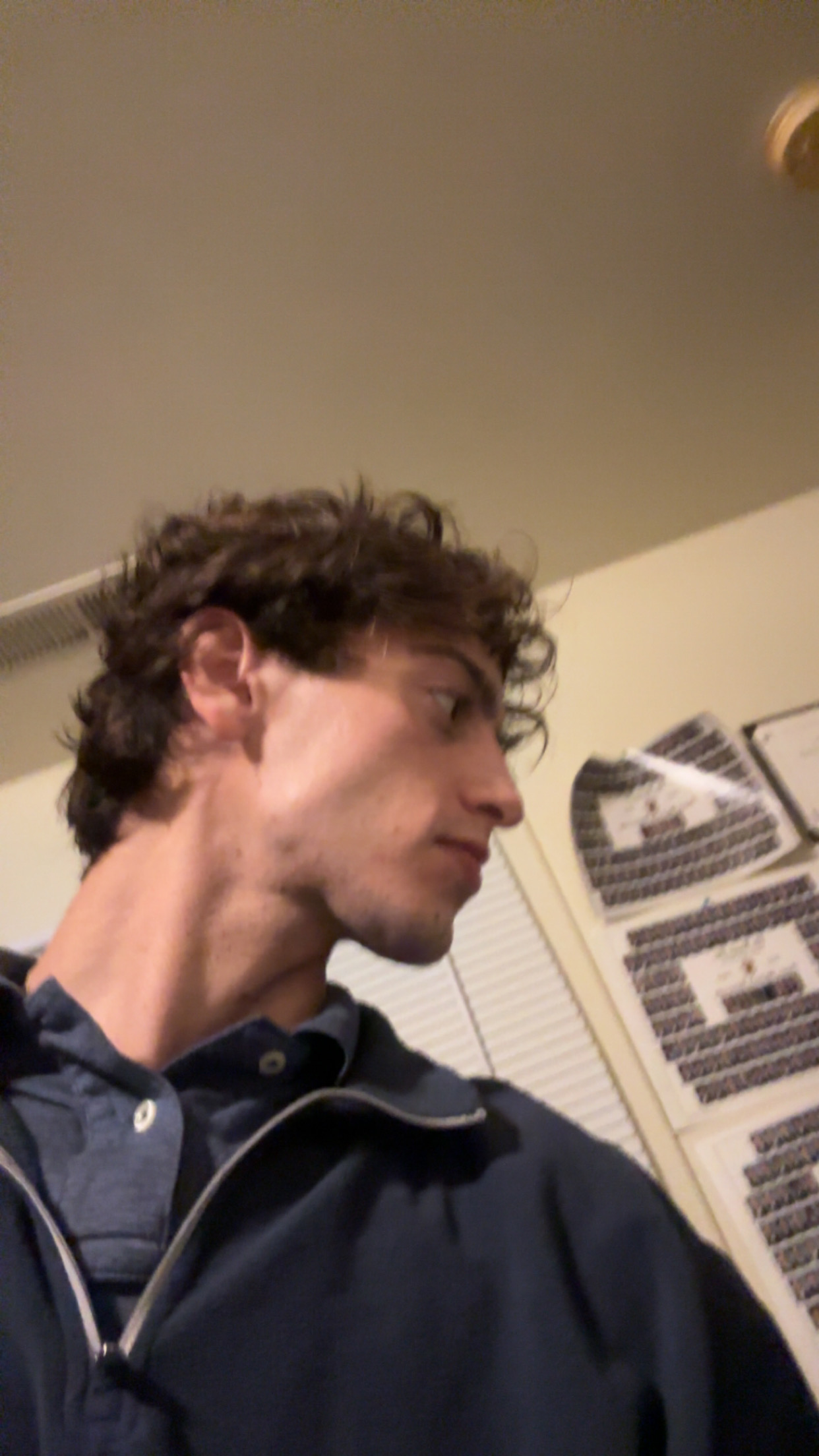 IMG 0795