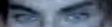 1763155260195